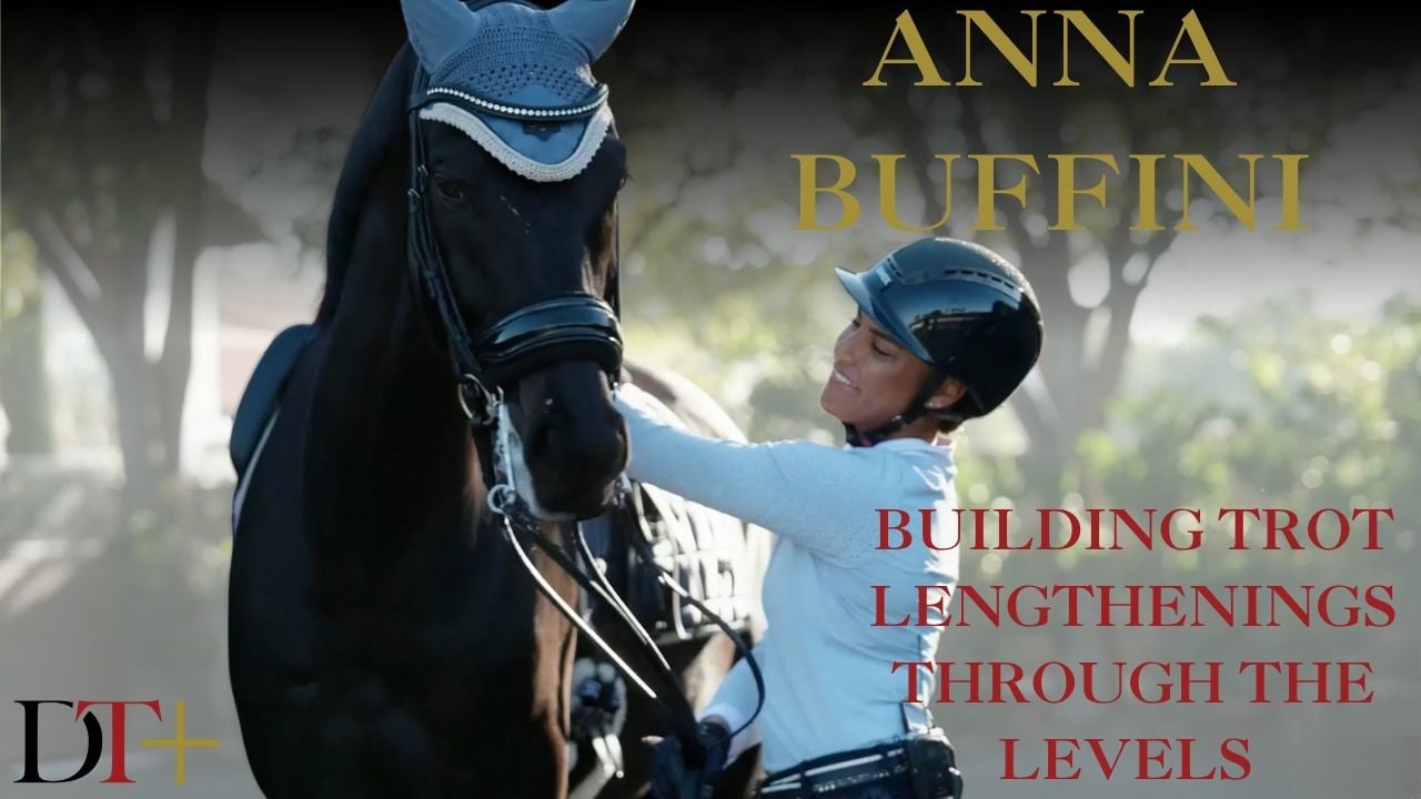 Building Trot Lengthenings Through the Levels | AnnA Buffini
