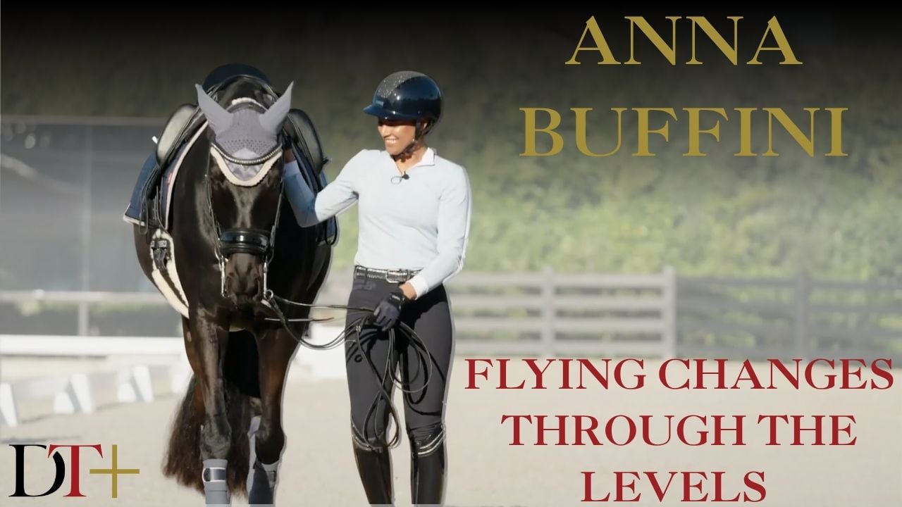 Flying Changes Through the Levels | AnnA Buffini