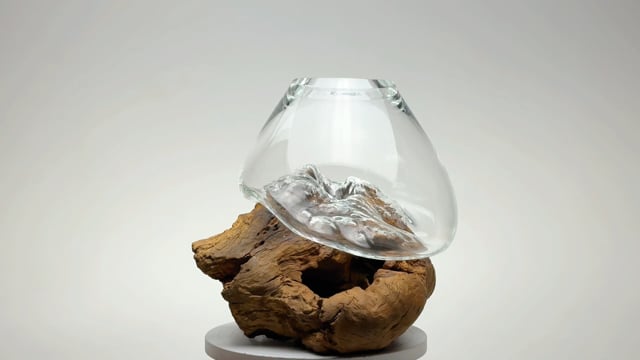 Vaso Tronco Transparente 