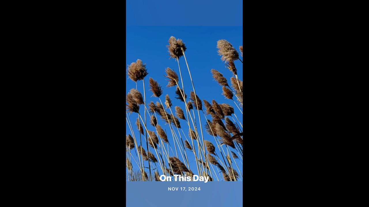 Dexter visits Peaks Island