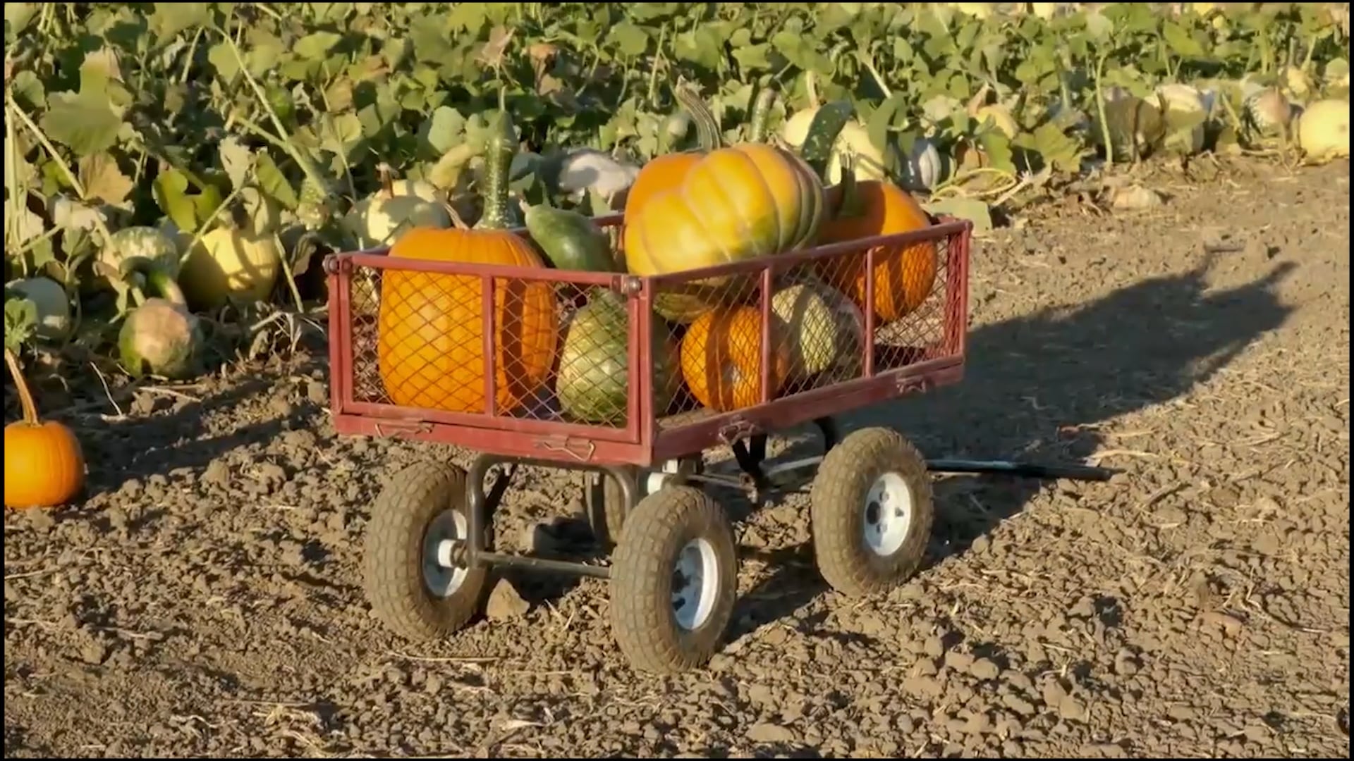 Sermon | November 16, 2025