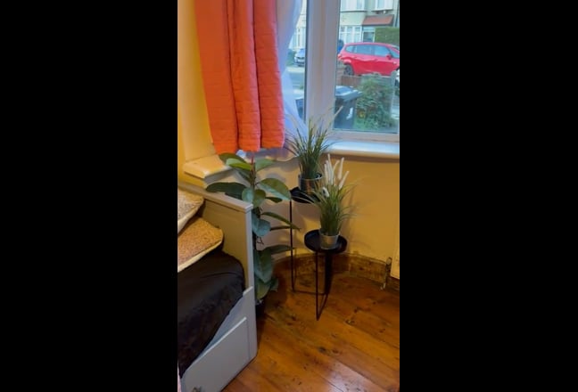 Single&Double Cheapest Trees @ rear Friendly T&L'L Main Photo