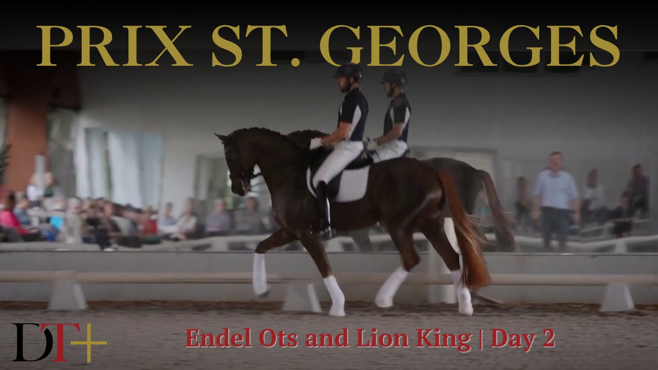 Prix St. Georges—Endel Ots and Lion King—Day 2