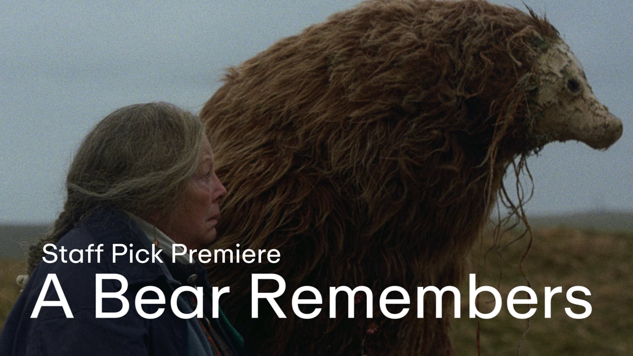 A Bear Remembers
