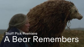 A Bear Remembers by Hannah Palumbo, Linden Feng