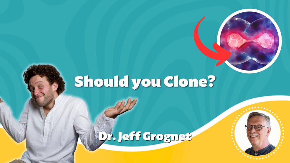 Should you Clone?