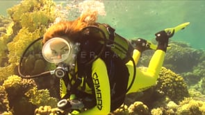 1128_female scuba diver hard corals
