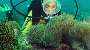 1119_female scuba diver with anemonefish