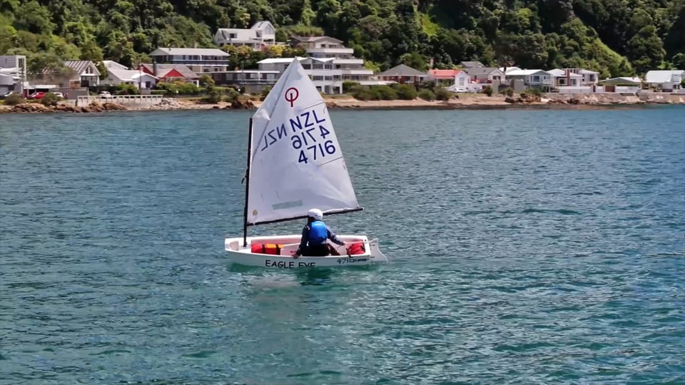 North  Island Optimist champs a great success 
