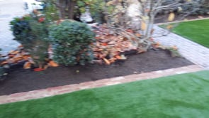 Video: Completed Garden Project