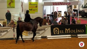 ama1-QUITASUEÑO MAZ