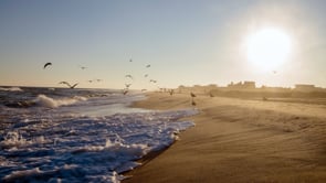 Related Embedded Video Item Thumbnail