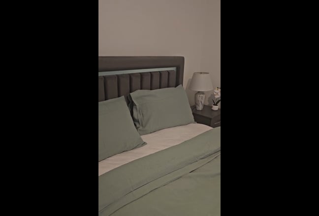 Luxurious Double Room in a neat apartment  Main Photo