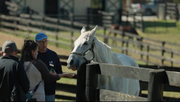 Everything a Horse Lover Desires: Tour Tokyo Racecourse's Gift
