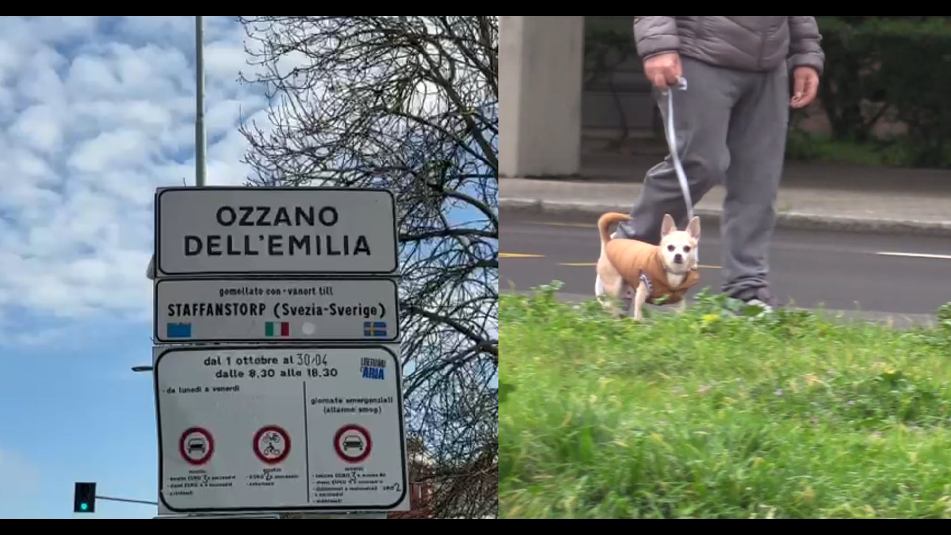 A Ozzano le ceneri degli animali potranno essere sepolte insieme ai loro familiari