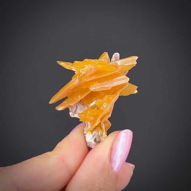 Wulfenite - SM25-160 - La Morita Mine - Mexico Mineral Specimen