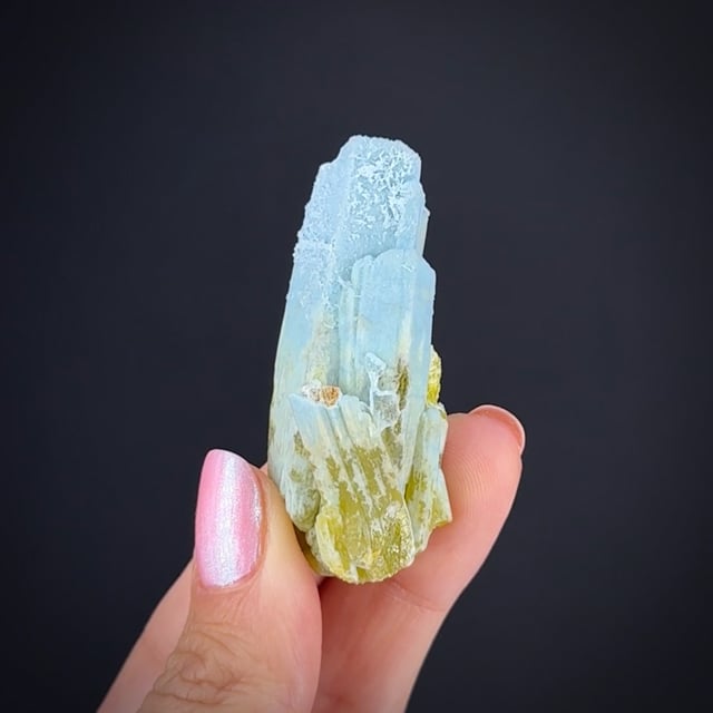 Mixed Minerals in 2025 Mineral Specimens