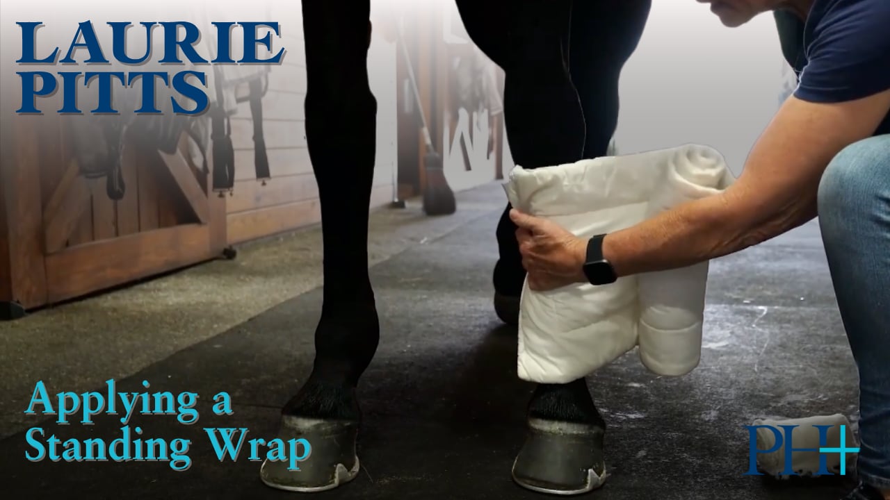 Applying a Standing Wrap | Laurie Pitts