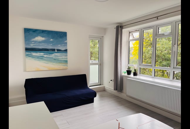 A bright spacious double room in a nice 4 bed flat Main Photo