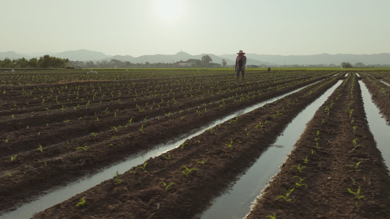 Food for Tomorrow - Thailand - PepsiCo & National Geographic