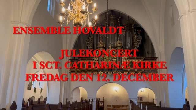 Ensemble Hovaldts julekoncert støtter i år Den Blå Sociale Café