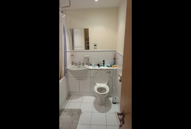 Beautiful 2 Bed / 2 Bath Flat with Balcony Main Photo