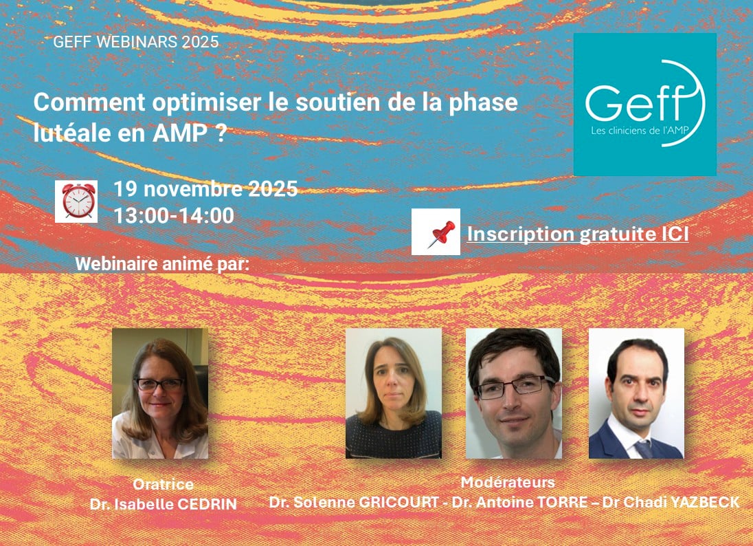 Webinar GEFF 191125