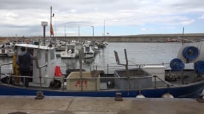 Els pescadors no són els culpables del descens de captures