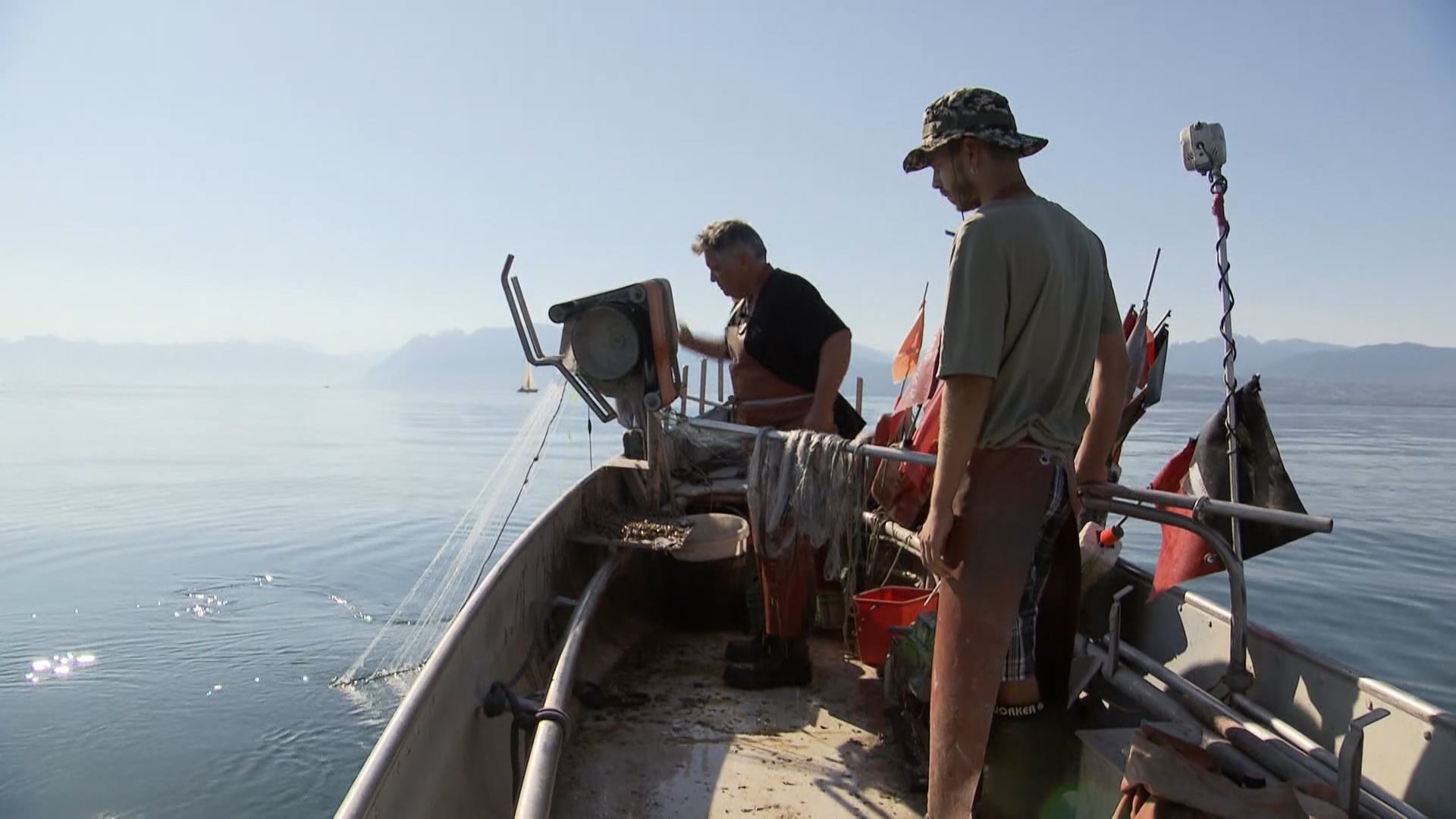 L'invasion de la moule quagga