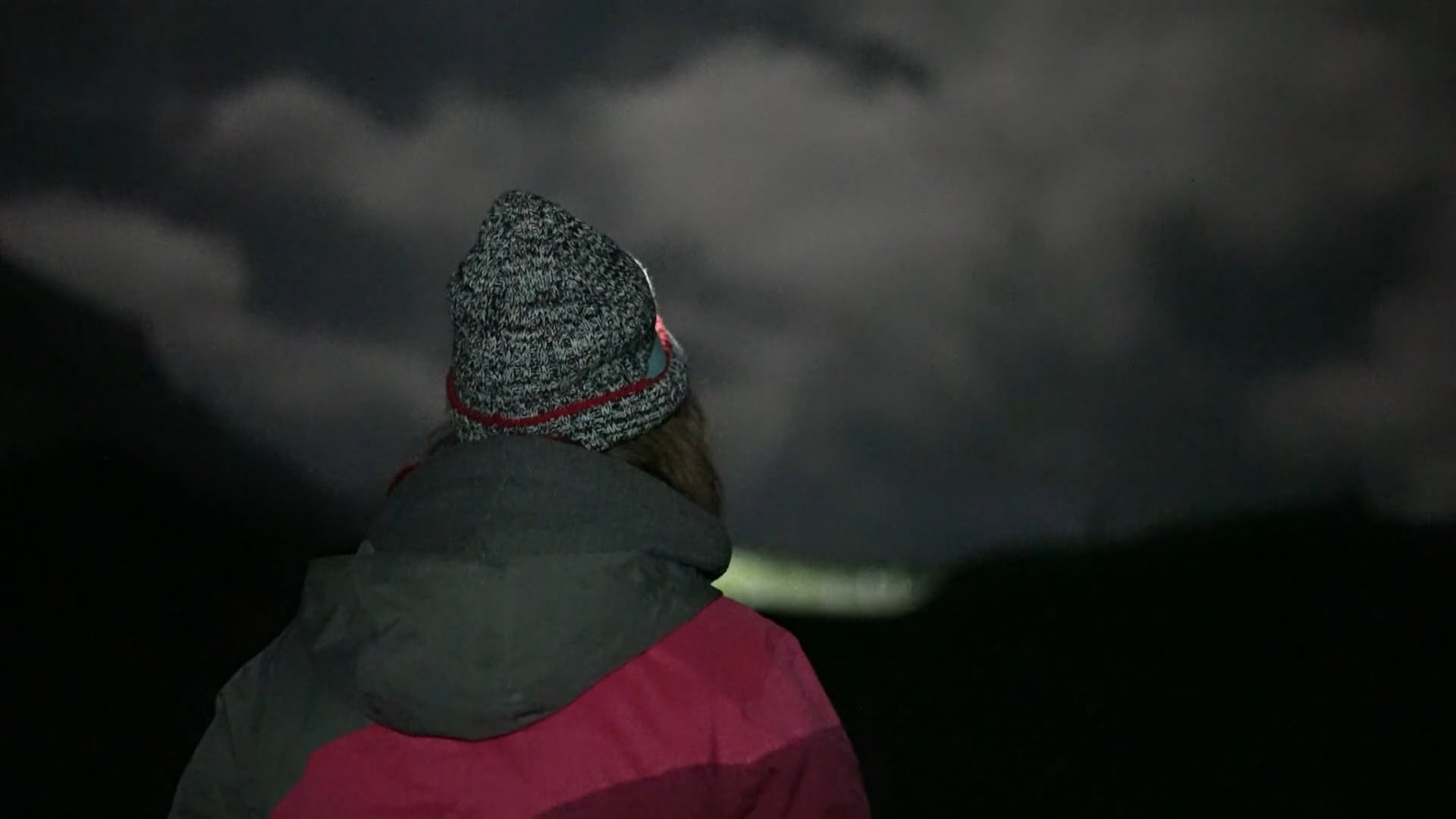 Le loup et les surveillants