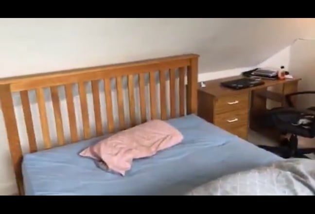 Bright Home / Modern Living - bills included Main Photo