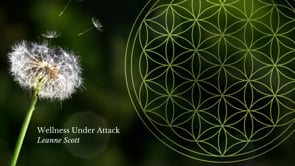 Related Embedded Video Item Thumbnail