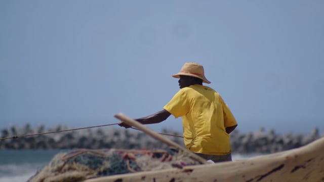 L’extension du domaine de la faim - Vidéo ePOP