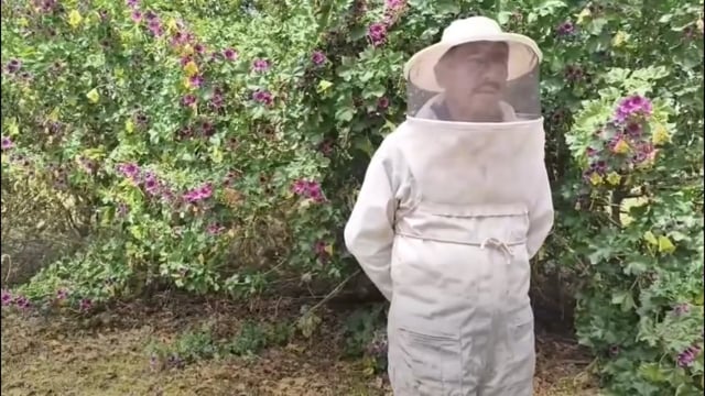 Du miel pour les pumas - Vidéo ePOP