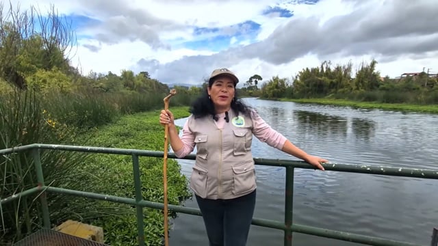 Les classes vivantes de la forêt sacrée - Vidéo ePOP