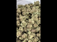 Lemon Cherry Gelato Smalls (Mixed Light)