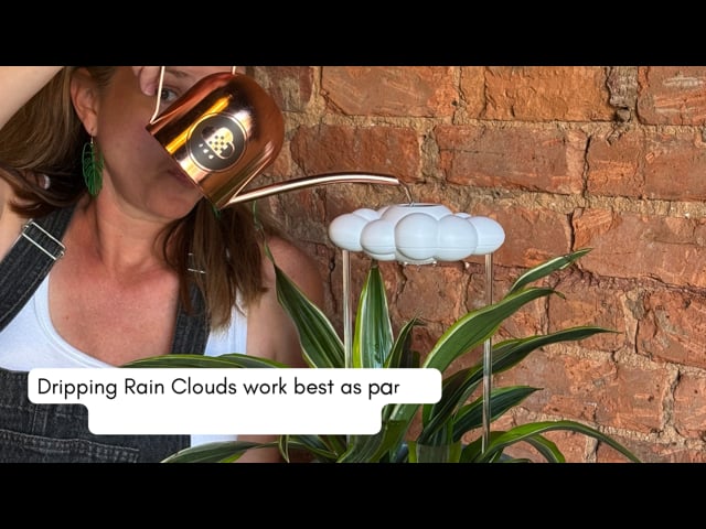 Placeholder image for video: 