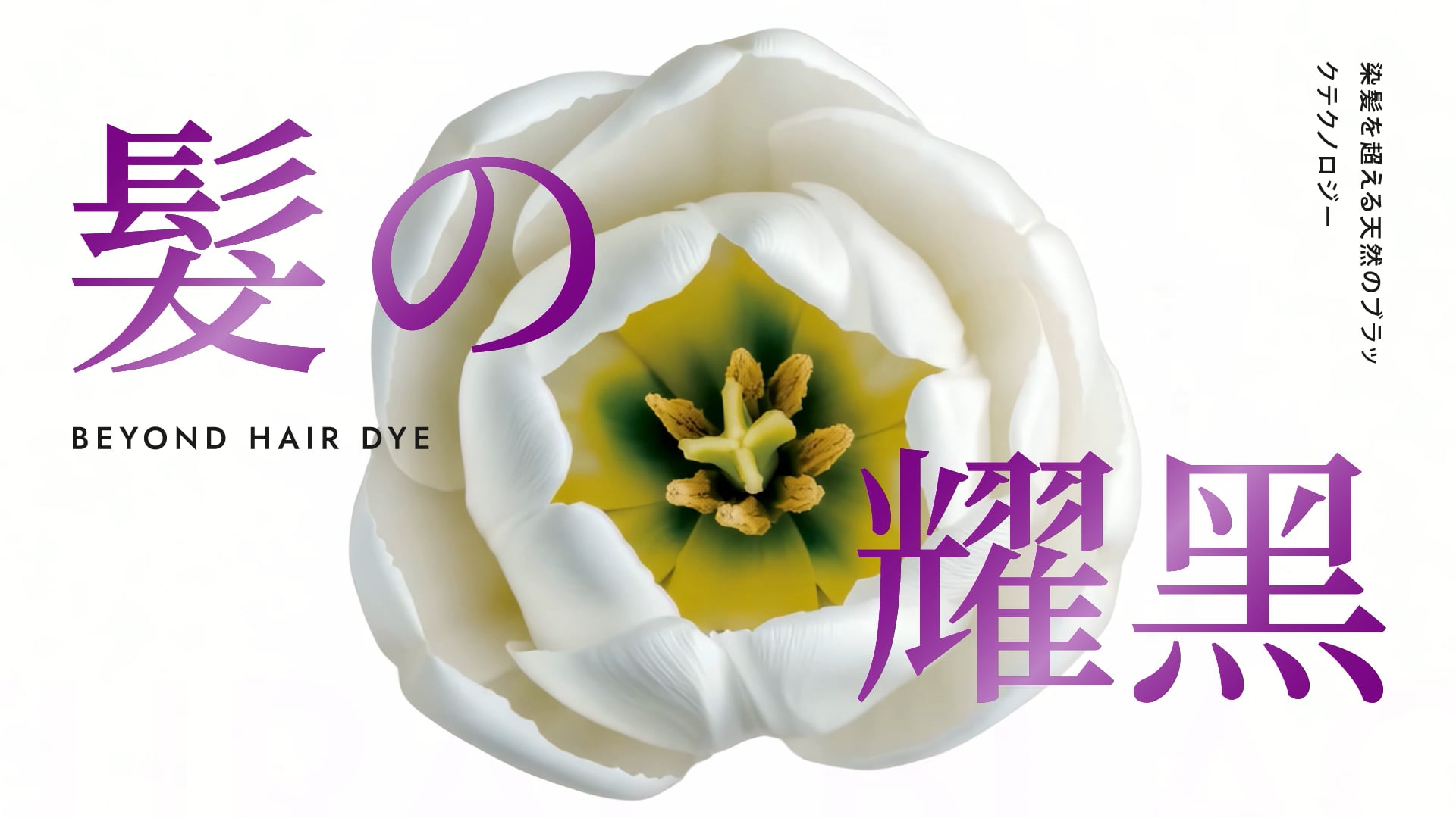 Dr's Formula逆齡喚黑系列全新升級 ｜ 維持黑．逆轉白