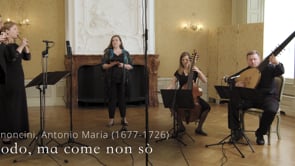 Related Embedded Video Item Thumbnail