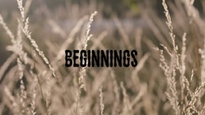 Black Bee - Origin Story Part 1 ORIGINS