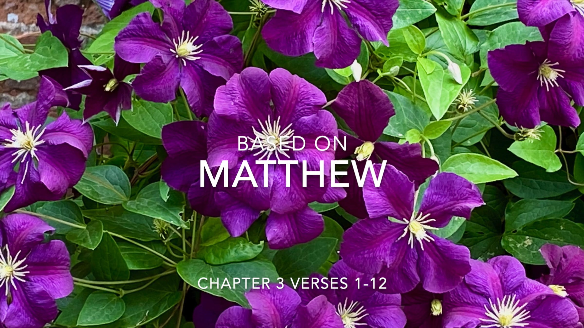 TTV252 Matthew chapter 3 verses 1-12 John the Baptist's teaching - Advent 2