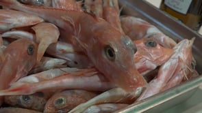 Per Nadal, peix de proximitat a taula