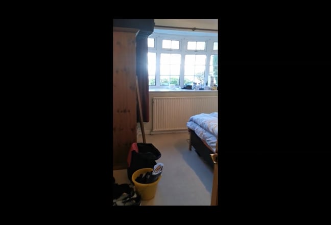 Cat Lover Wanted, Ideal for Hospital Workers Main Photo