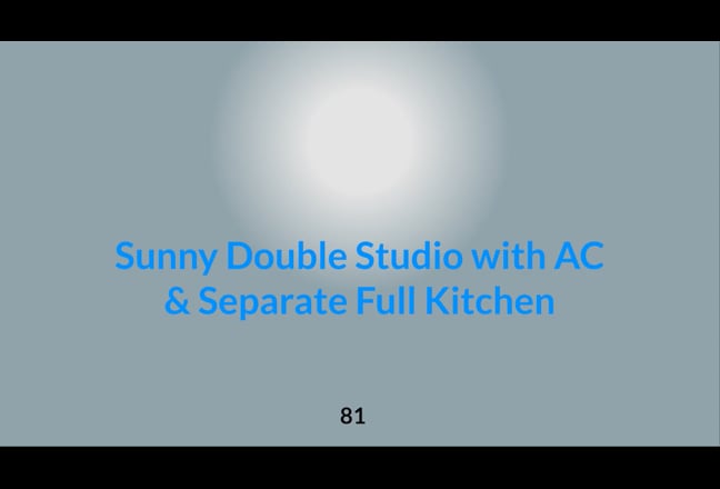 Bright Double Studio with AC & Full Kitchen Main Photo