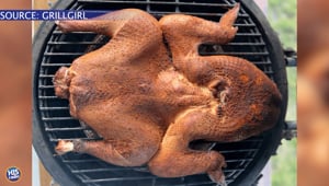 Have You Ever Heard of A Frog Turkey?