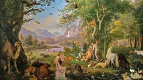 Finding God in All Things