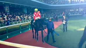 動画サムネイル