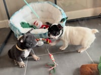 My personality & video