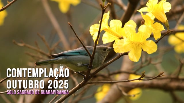 Capa do vídeo “Contemplação do mês de Outubro de 2025 | Solo Sagrado de Guarapiranga”