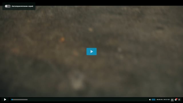 Boomer Helps Dash Search For Lily